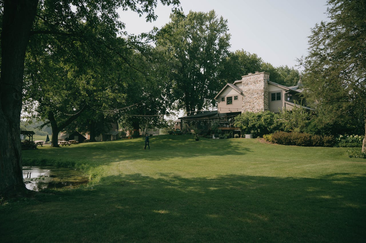 Creeping Red Fescue