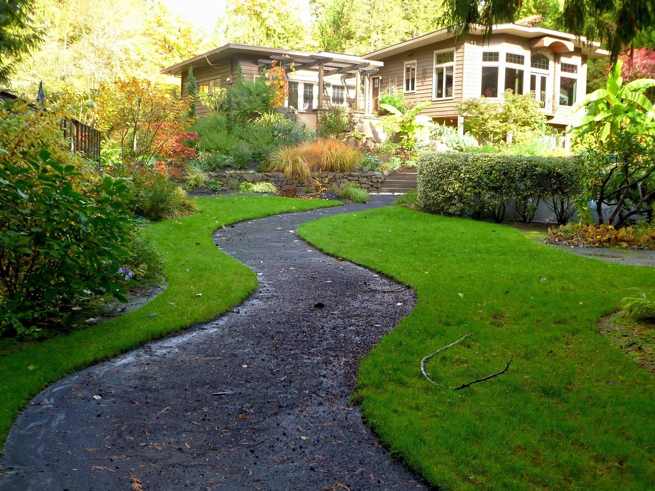 St. Augustine Grass
