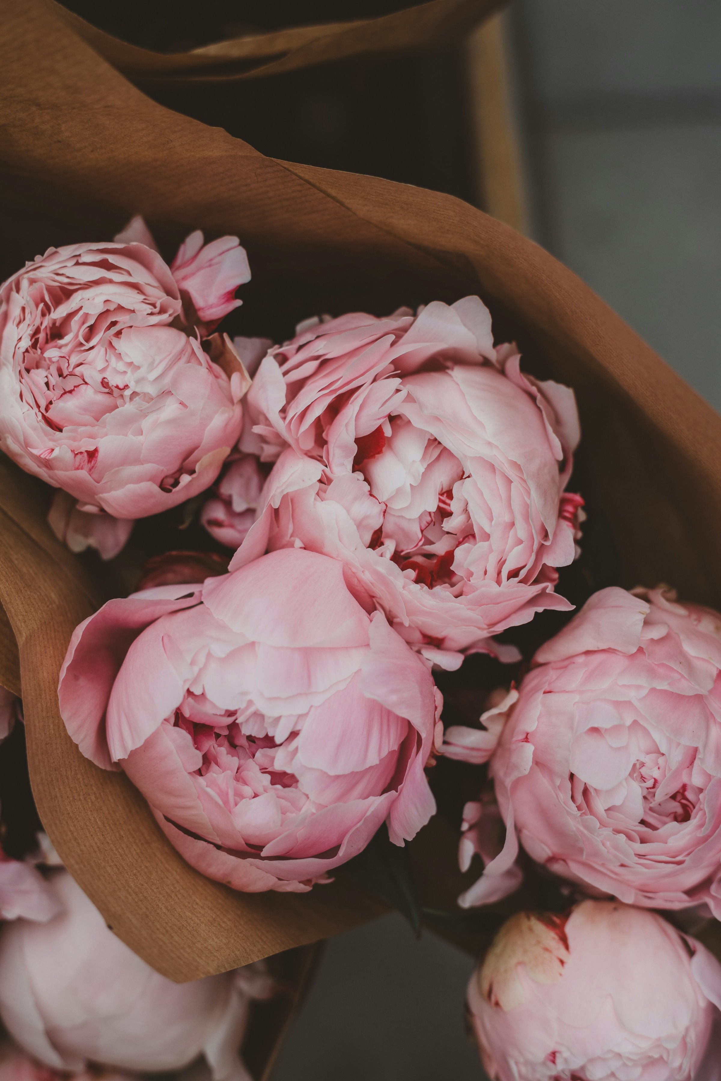 Peony