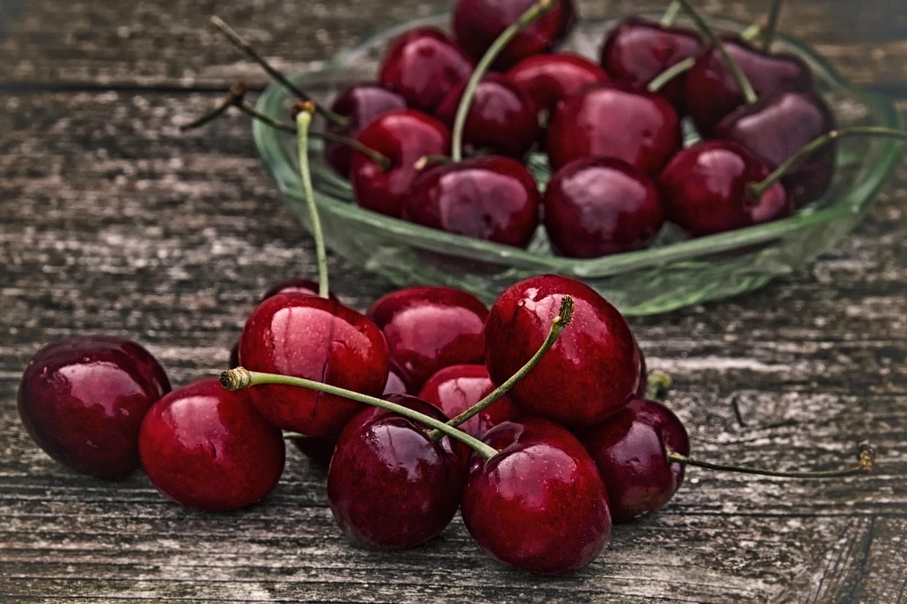 Bing Cherry Tree