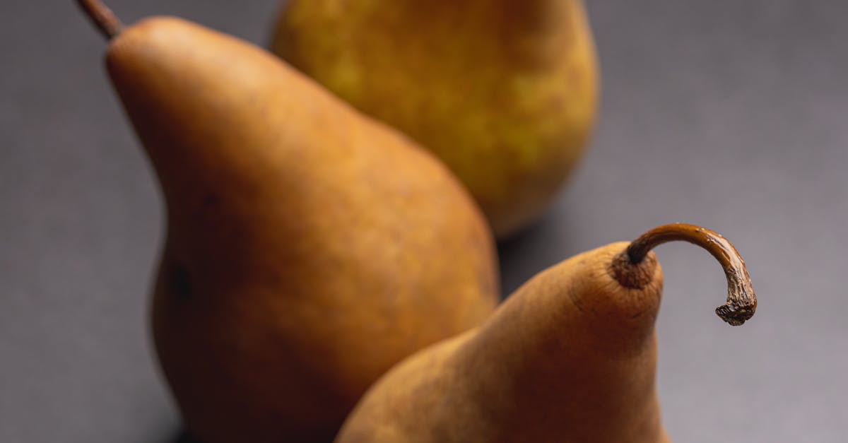 Bosc Pear Tree
